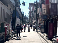 Hollywood Stars Running around the Nakameguro Area image