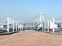 This is the location in the Odaiba area where Sumire Onda was shot image.