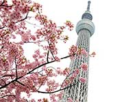 東京スカイツリーのロケ地画像