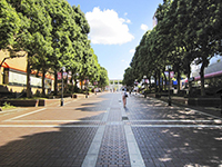 Kamen Teacher - A Masked Teacher: The street used in the series image