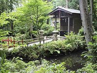 The holy spring where Mr. Kei scooped water for the coffee image.