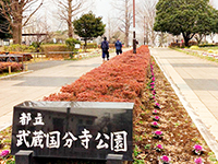 The park where Mr. Kei and Touko had a stroll together image