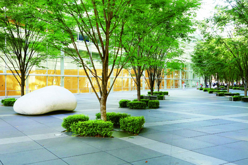 地上広場01