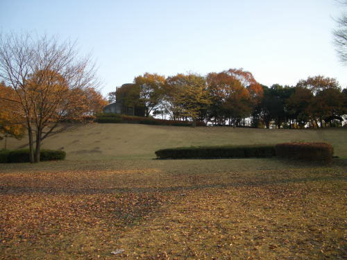 富士見台公園