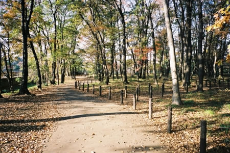 清水公園
