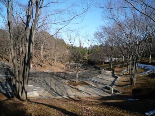  一本杉公園