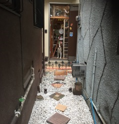 入り口