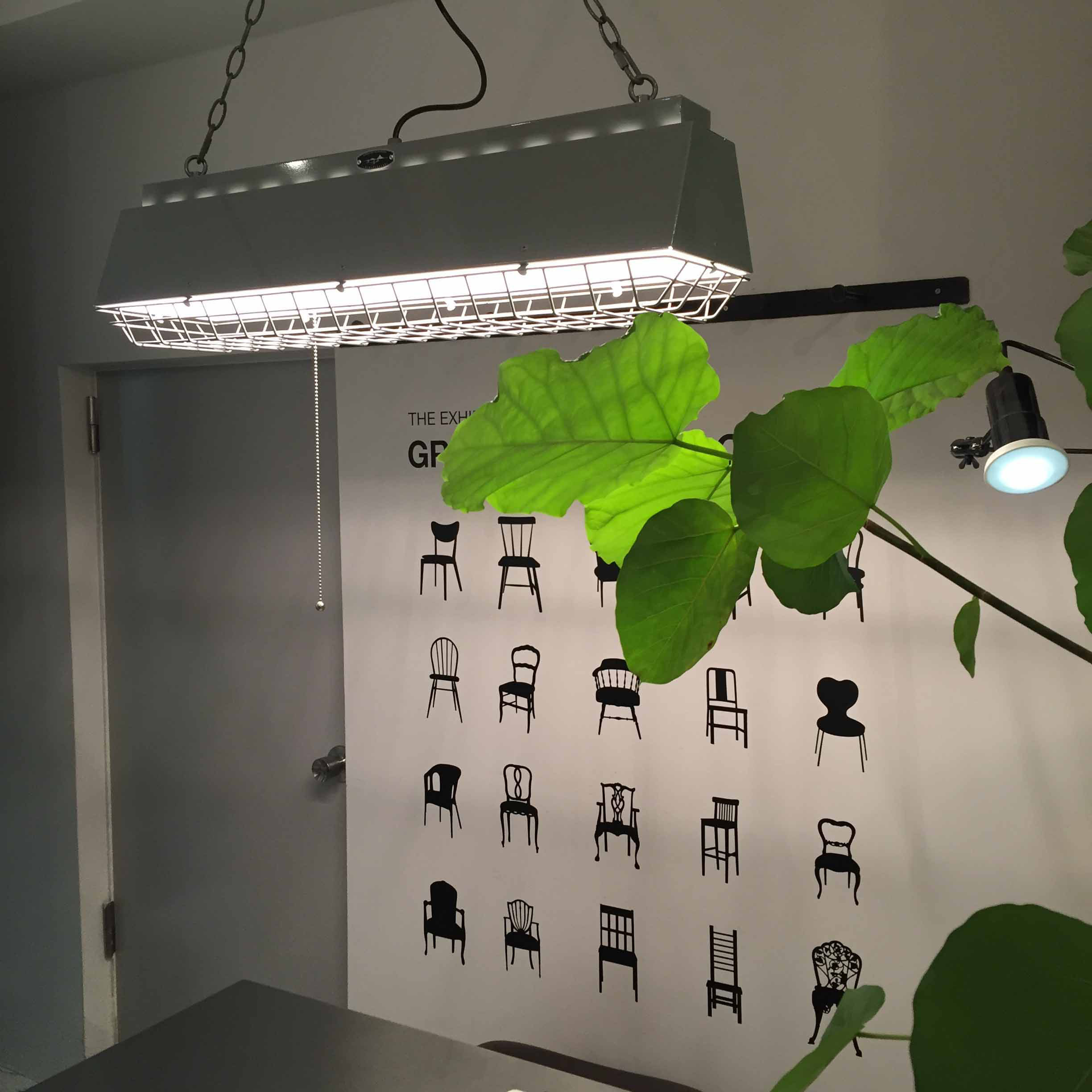 店舗カウンター画像