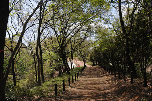 高根山遊歩道