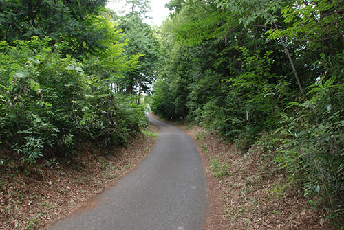 大日山遊歩道