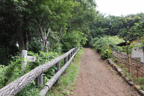 お伊勢山遊歩道