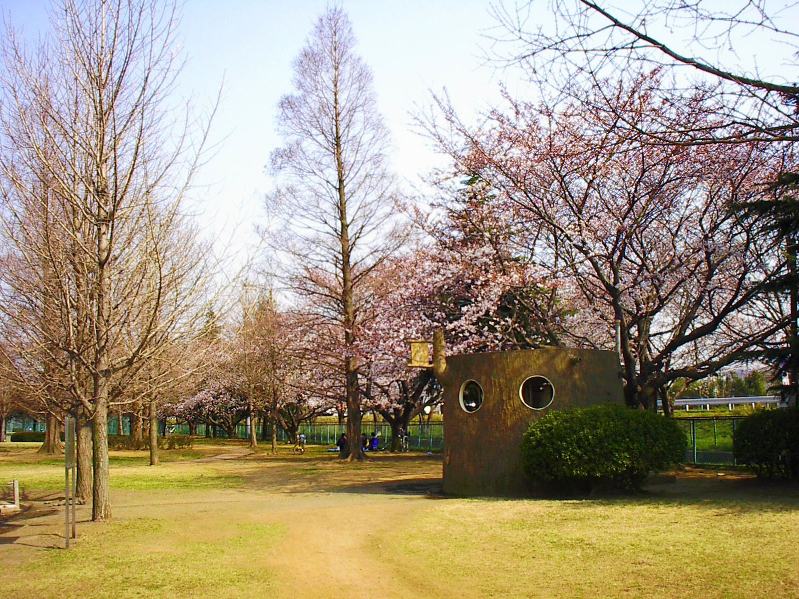 南多摩エリア／稲城市／稲城北緑地／BBQ／配達／バーベキューレンタル／東京／桜／花見