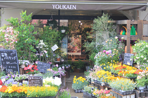 ユー花園 下北沢本店 入口　季節のお花に囲まれる入口、入口の花に関する花材指定がある場合はご相談下さい。