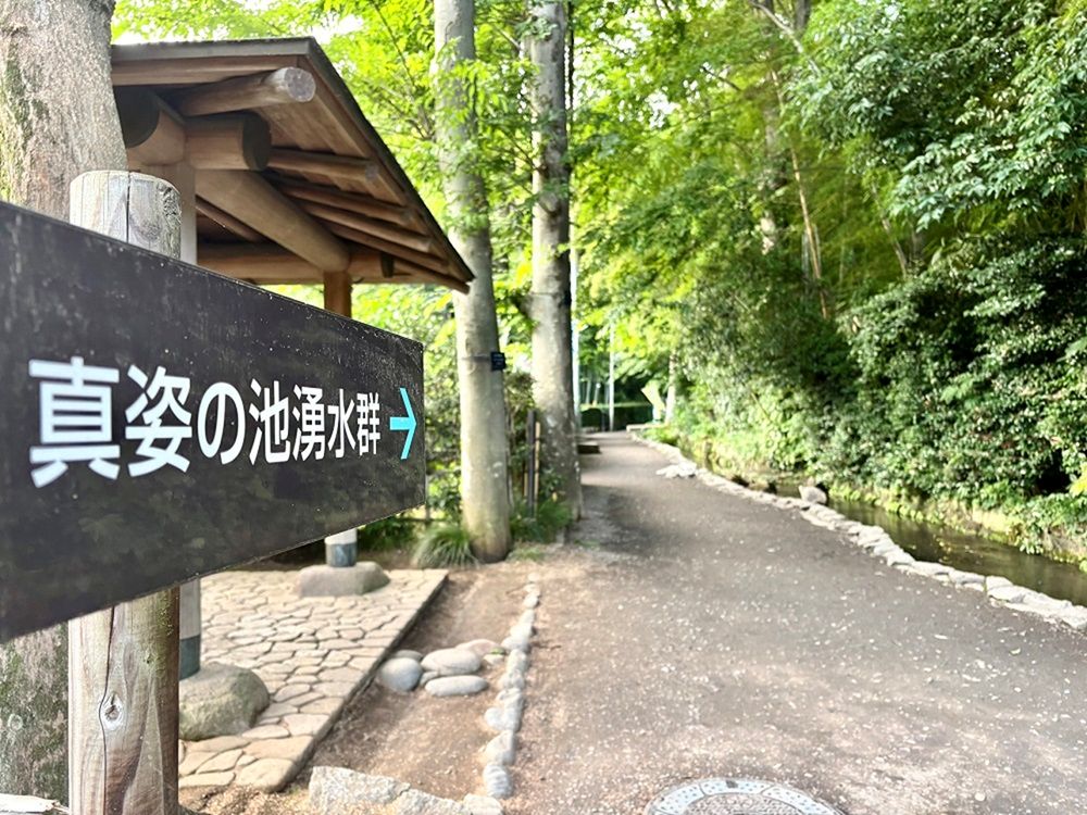 真姿の池湧水群（南側から）