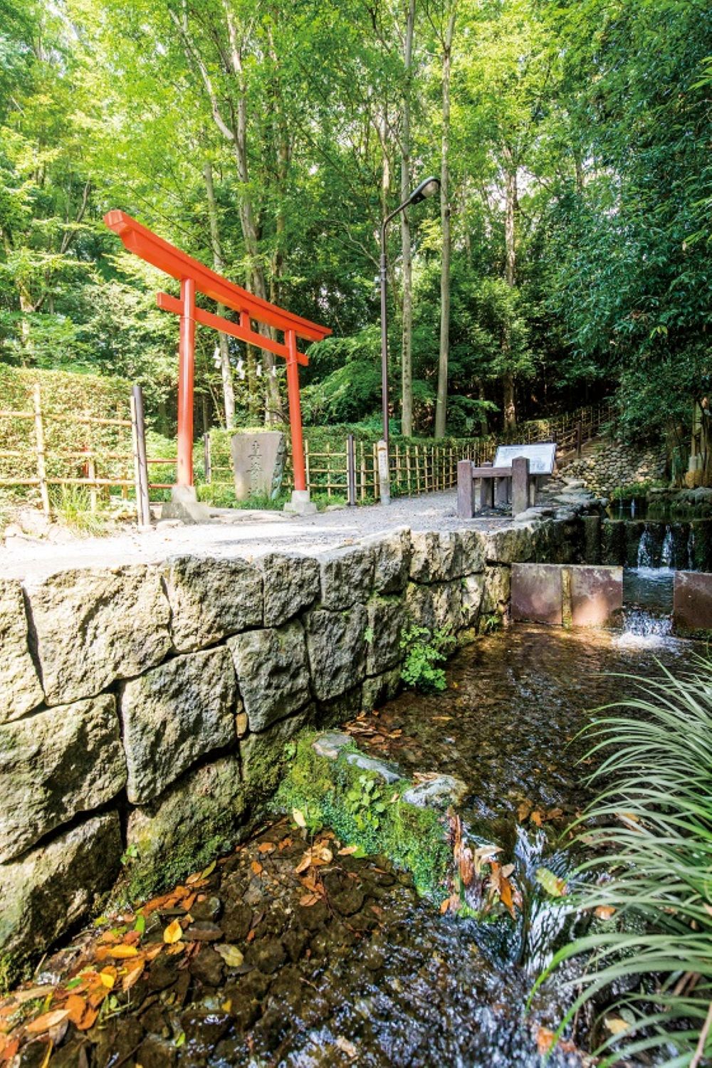 真姿の池湧水群（鳥居と湧水）