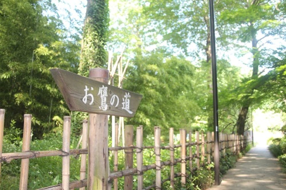 お鷹の道（案内板）