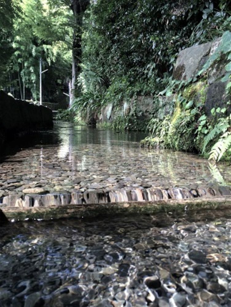 湧水の流れ