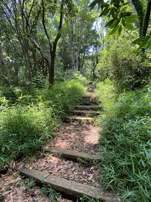 城山公園散策路