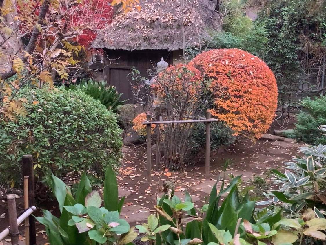 日本庭園と茅葺き小屋