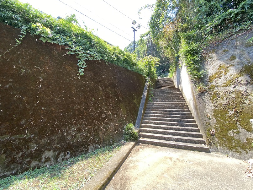 公園里山側階段