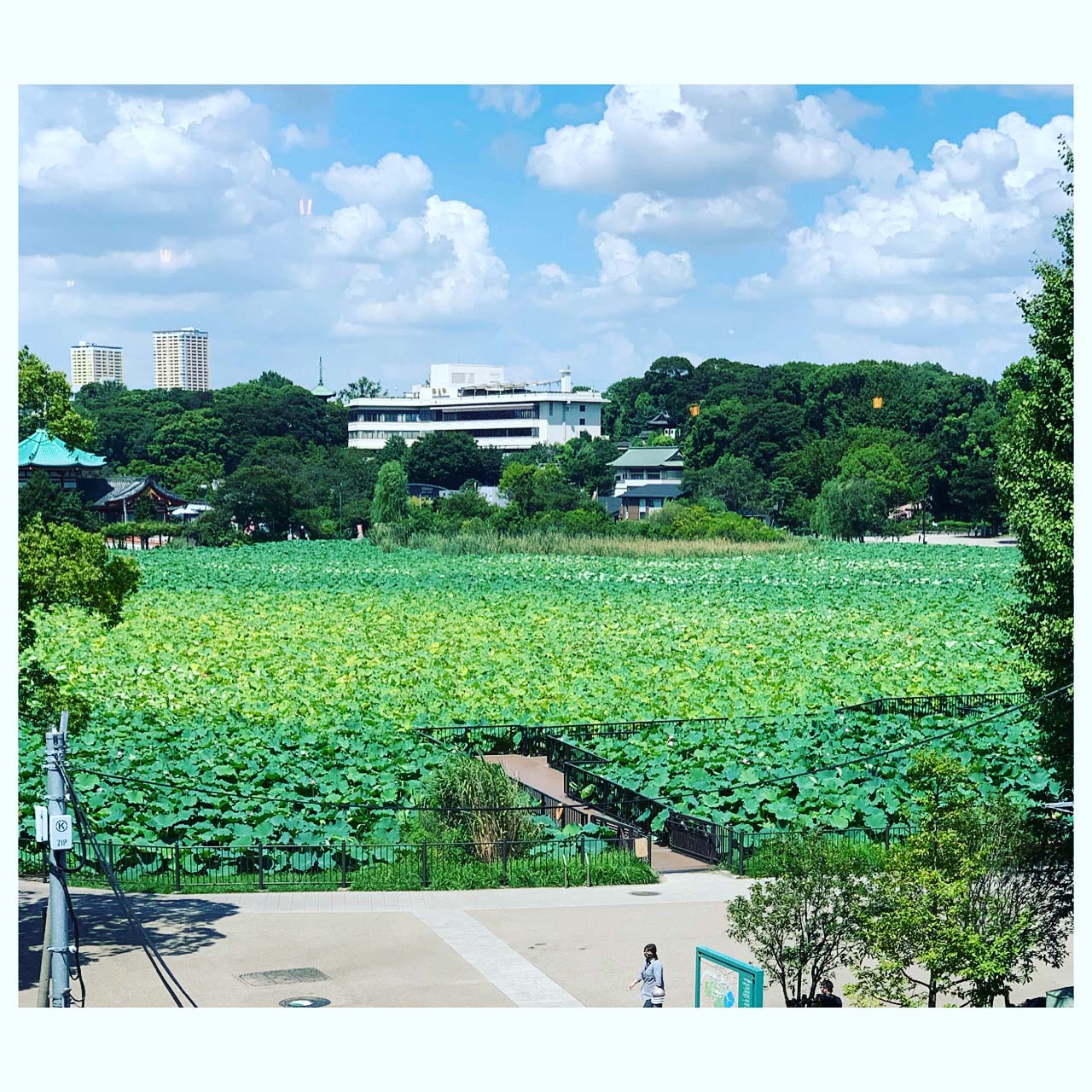 当店の窓際から見える景色になります。