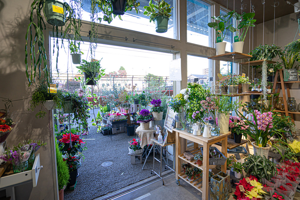 世田谷区桜新町にある花屋さん、ユー花園桜新町店、店舗内から入り口をみた構図 世田谷区桜新町にある花屋さん、ユー花園桜新町店、店舗内から入り口をみた構図