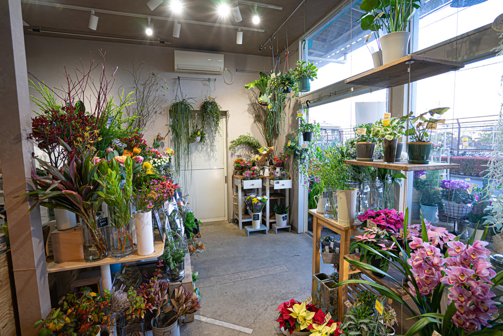 世田谷区桜新町にある花屋さん、ユー花園桜新町店、店舗入り口左側(レジ側)奥からみた構図 世田谷区桜新町にある花屋さん、ユー花園桜新町店、店舗入り口左側(レジ側)奥からみた構図