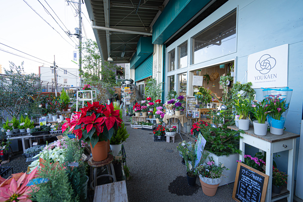 世田谷区桜新町にある花屋さん、ユー花園桜新町店、店舗外側陳列スペースの構図 世田谷区桜新町にある花屋さん、ユー花園桜新町店、店舗外側陳列スペースの構図
