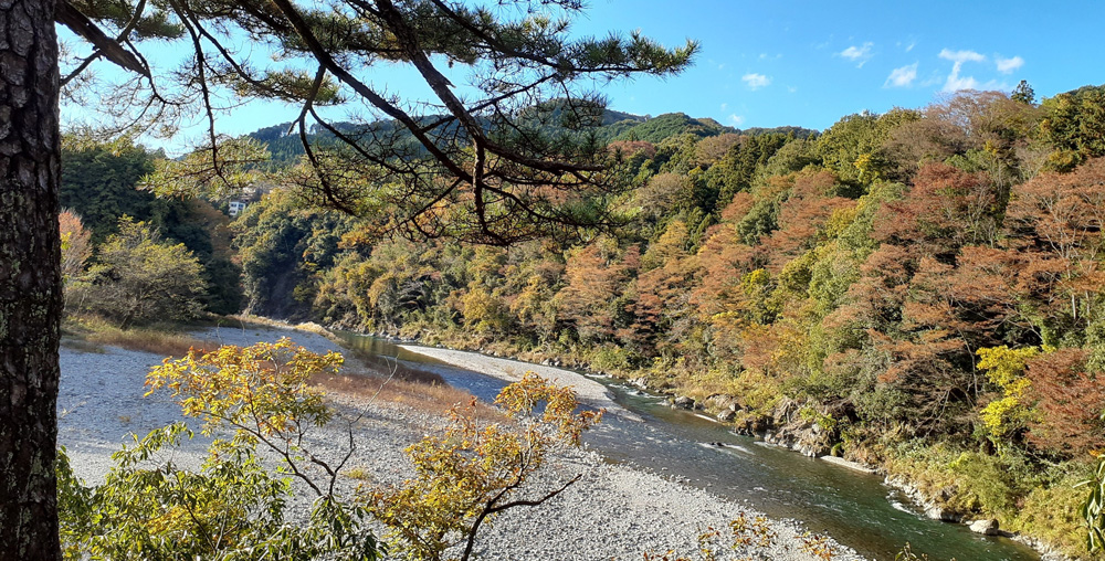 西側の多摩川風景
