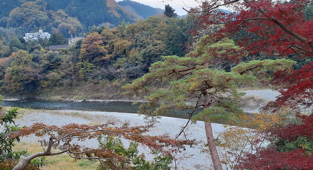 南側の多摩川風景