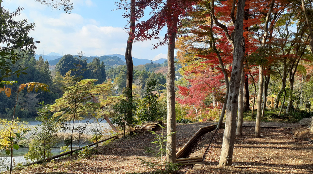 西側風景