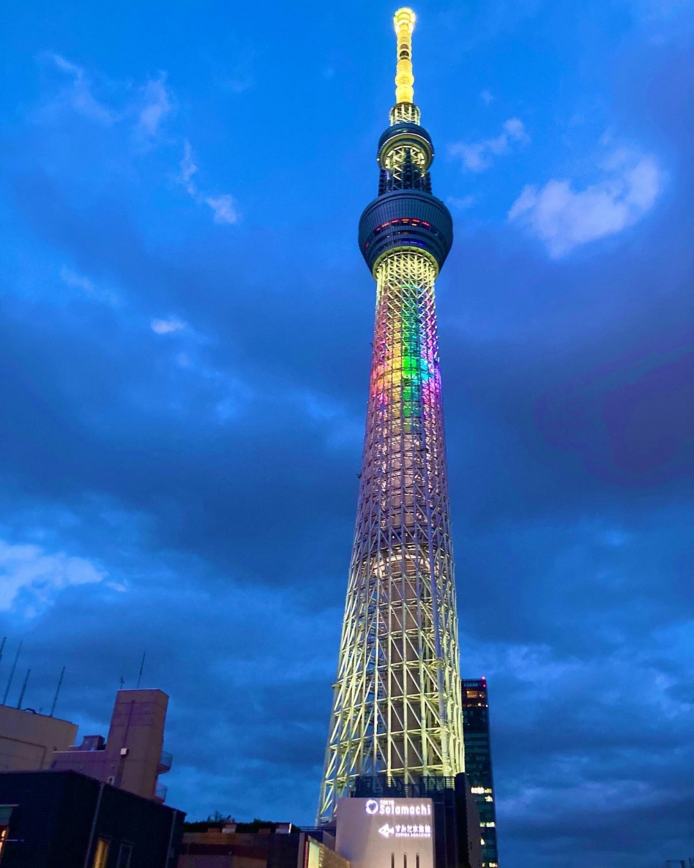 スカイツリーの全景が臨めます