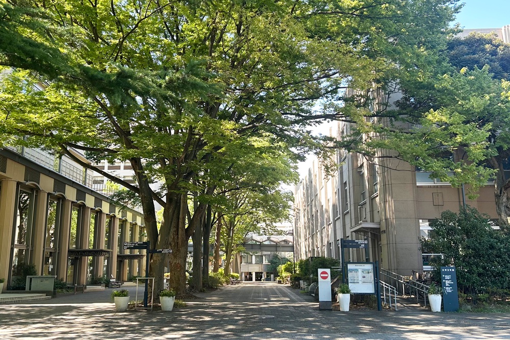 「正門」からの並木道<br />