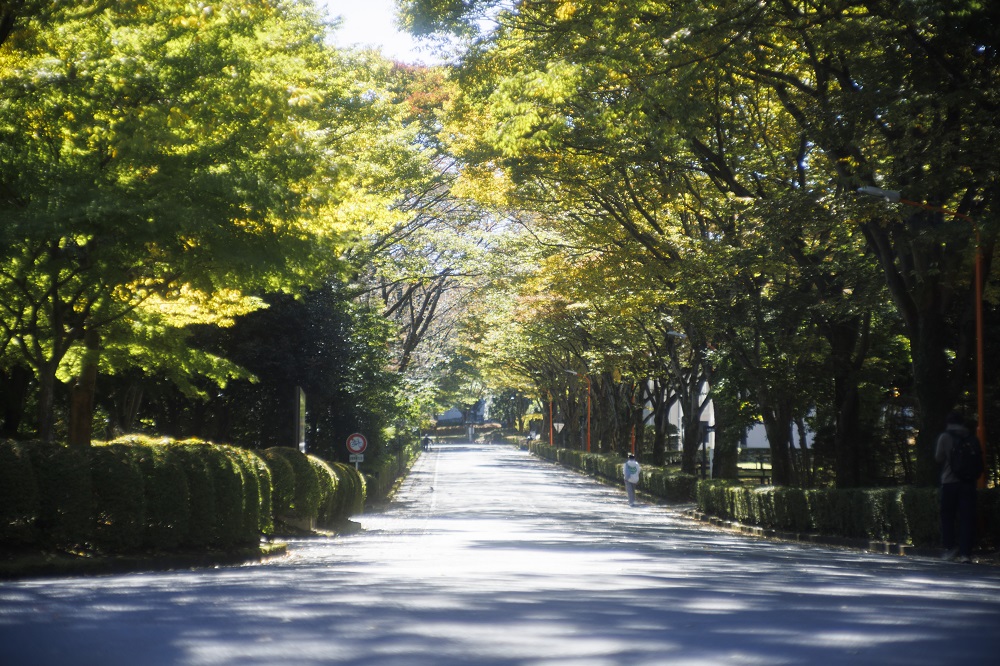 八王子国際キャンパス・外周