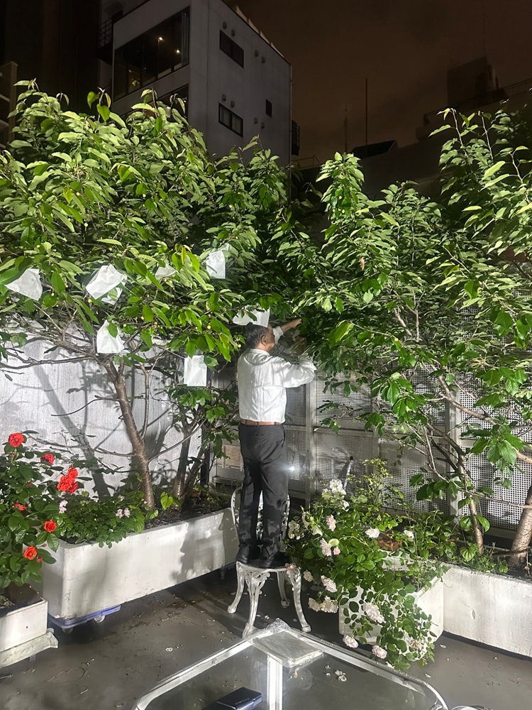 四季折々の植物が咲きます