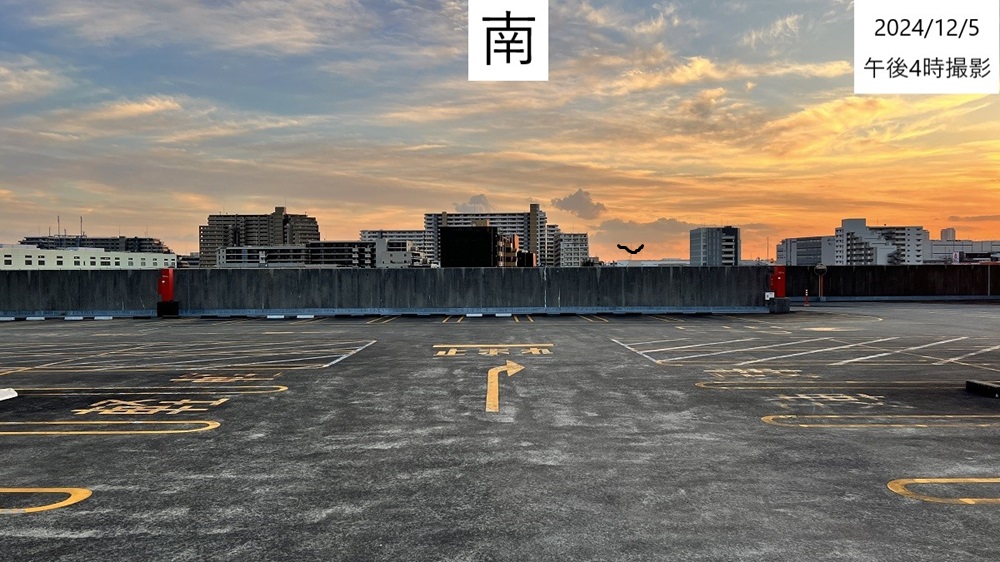 南
